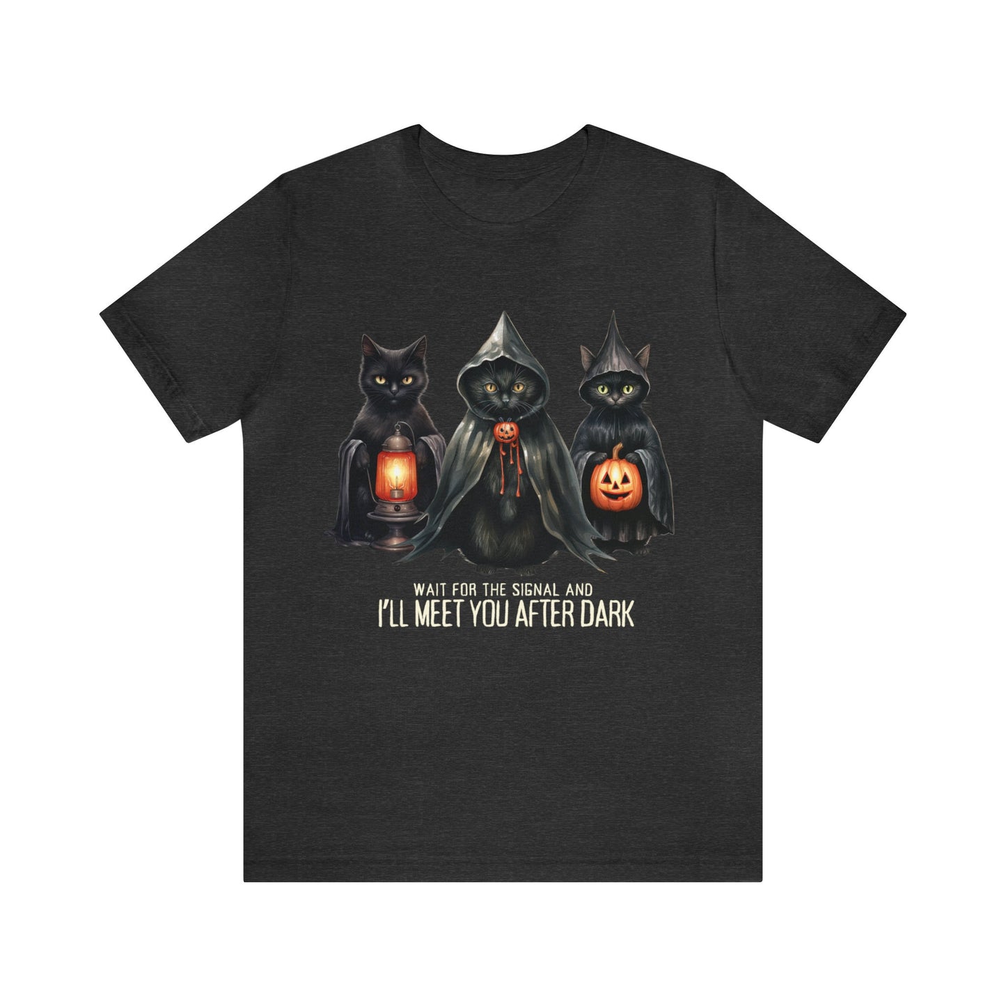 Wait For The Signal And  I'lll Meet You After Dark, Willow Lyric Shirt, Taylor Halloween, Halloween Cat