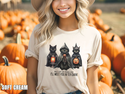 Wait For The Signal And  I'lll Meet You After Dark, Willow Lyric Shirt, Taylor Halloween, Halloween Cat